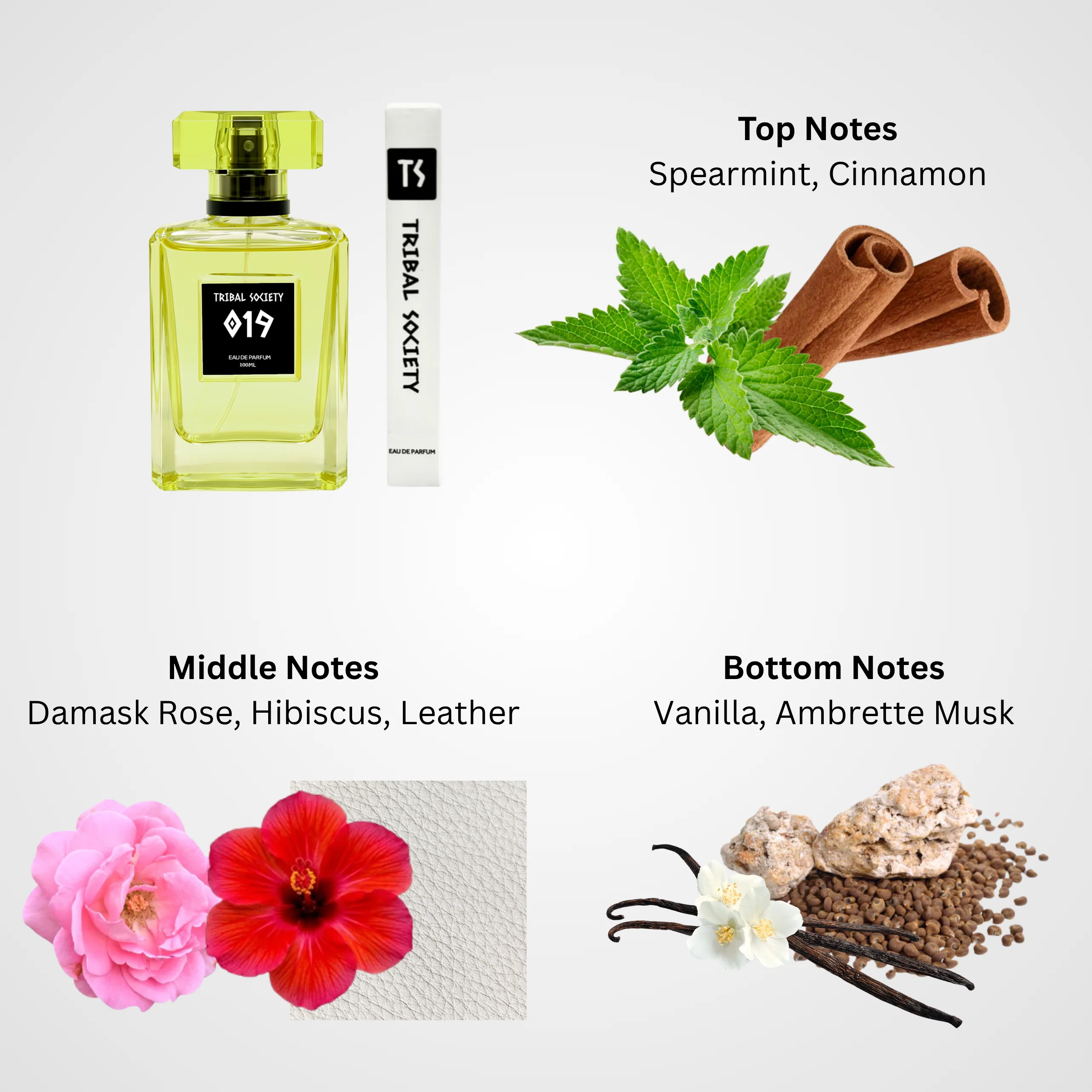 019 Eau De Parfum - 100ml - Image 4